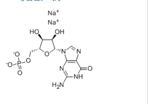 Guanosine 5'-monophosphate disodium salt （GMP-Na2）