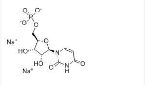 Disodium uridine-5'-monophosphate （UMP-Na2）